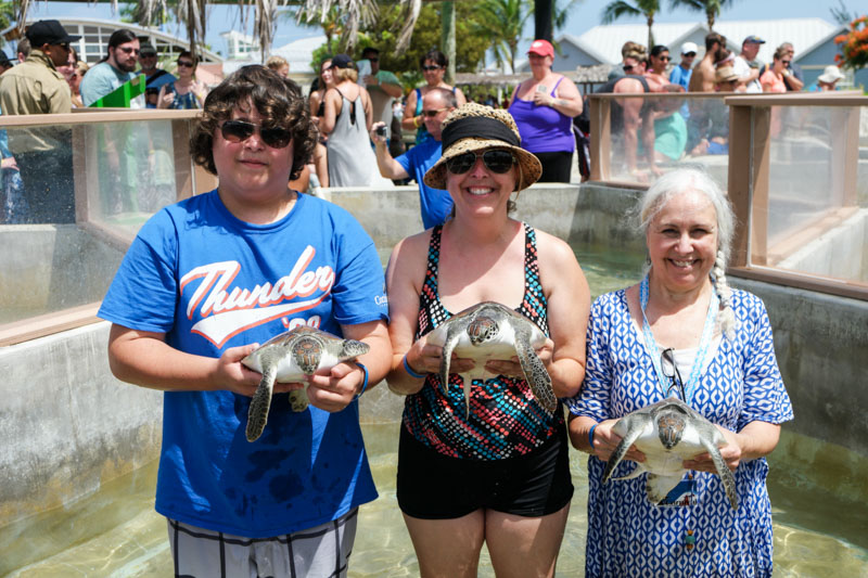Sea Turtles group