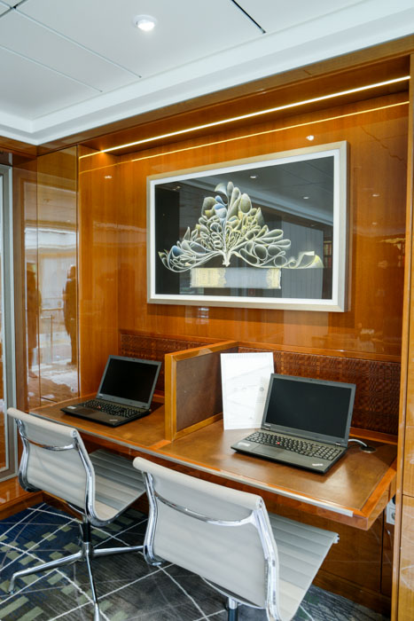 Viking Cruise Business Center (1 of 1)
