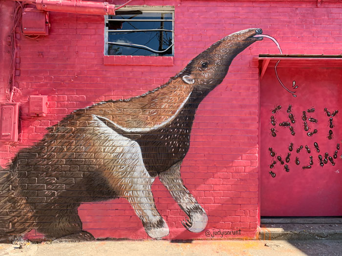 Ant eater Mural - travel ok