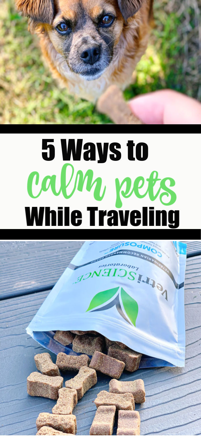 5 Ways to Calm Pets While Traveling