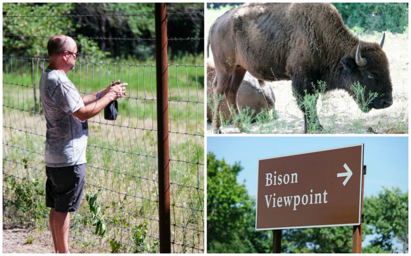 Bison View Point Sulphur -Chickasaw National Recreation Area