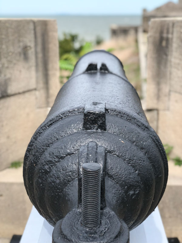 Old Fort Niagara Canon View