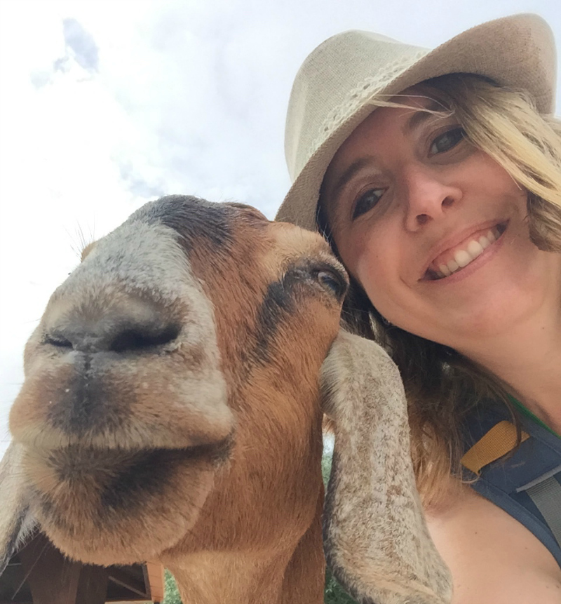 Goat Selfie