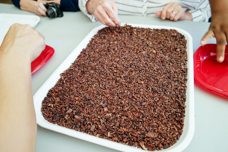 Sorting cacao beans