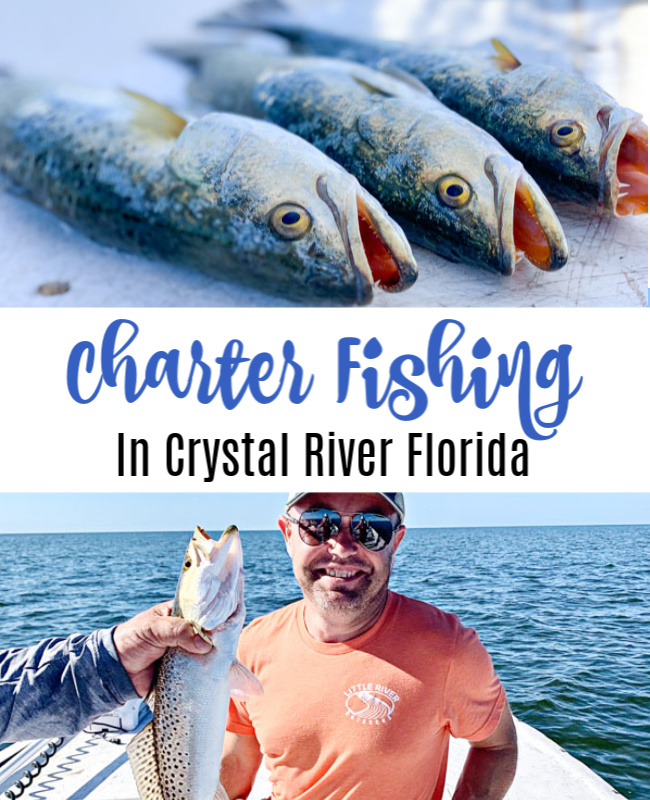 Charter Fishing in Crystal River, Florida