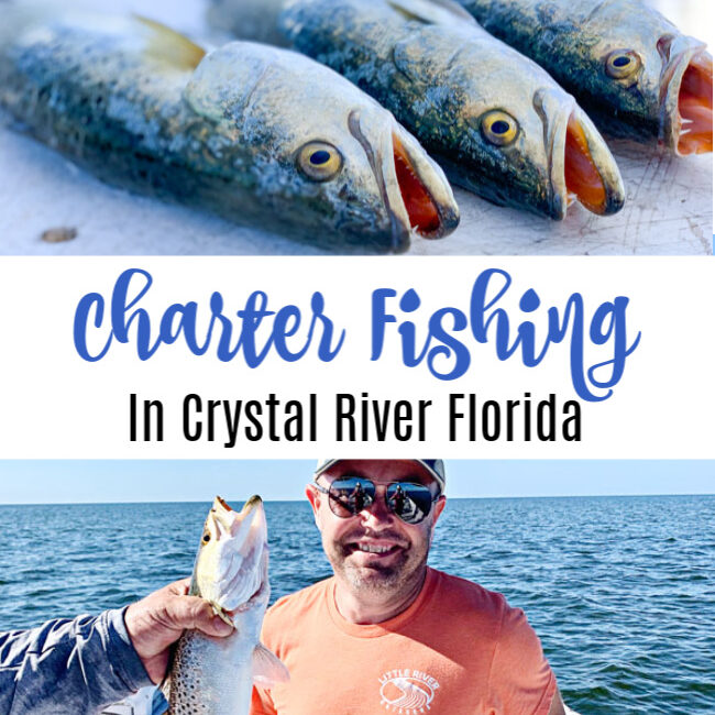 crystal river fishing