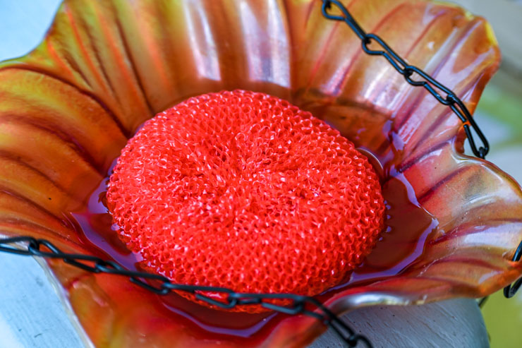 Butterfly Feeder with Nectar