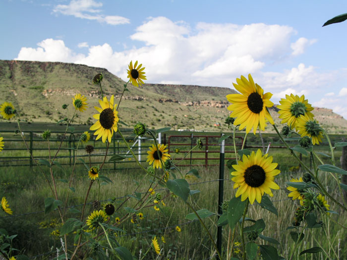 Black Mesa State Park