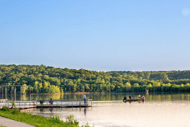 green leaf -Camping In Oklahoma State Parks