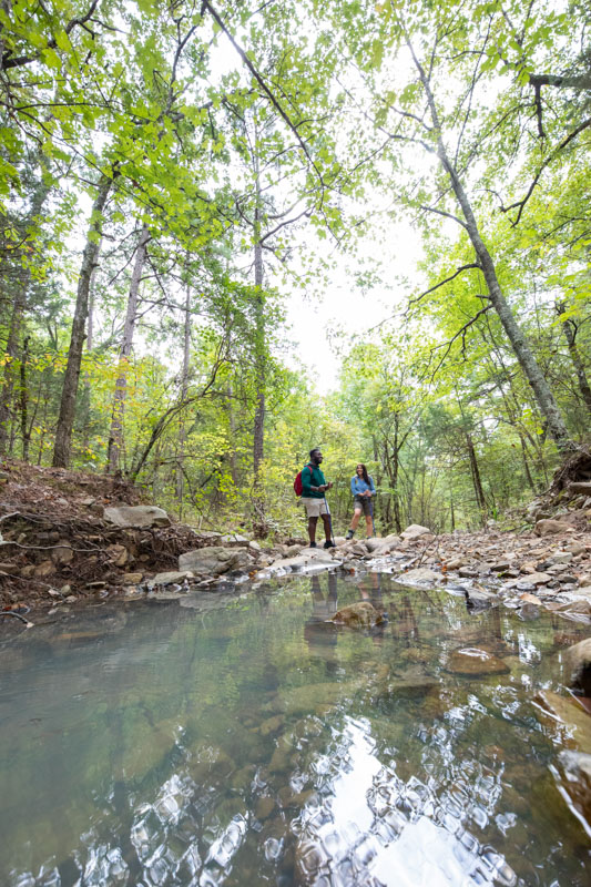 Quachita National Forest