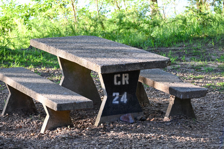 picnic table