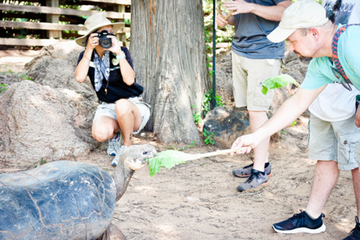 feeding turtle oklahoma city zoo - Free Events in Oklahoma City