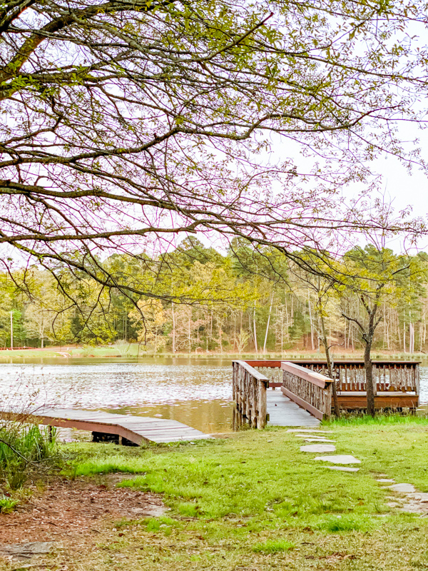 Deer Lake Dock