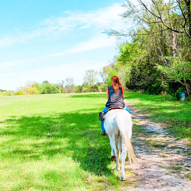 Deer lake horseback riding instructor