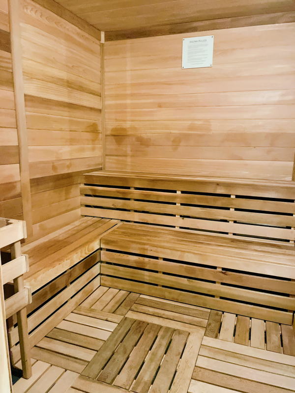 Omni Spa steam room