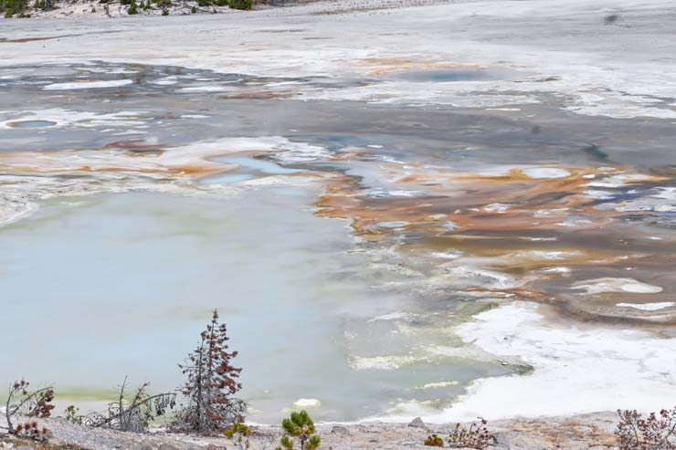 geyser basin