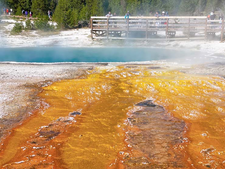 Yellowstone geyser