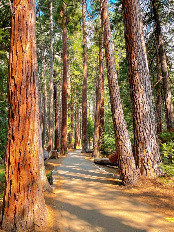 Yosemite hiking trails