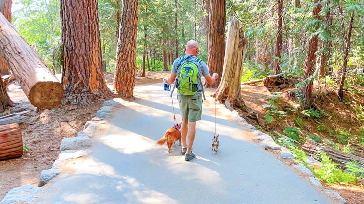 dog friendly Yosemite