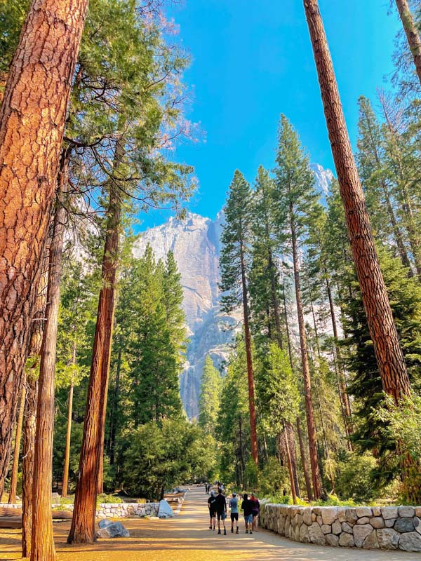 Best Yosemite Campground – Yosemite National Park Complete Guide
