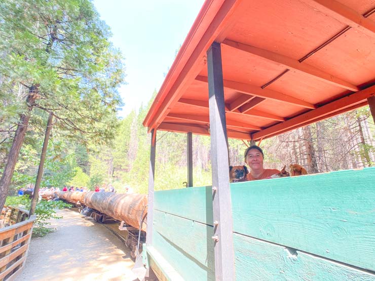 Yosemite Train