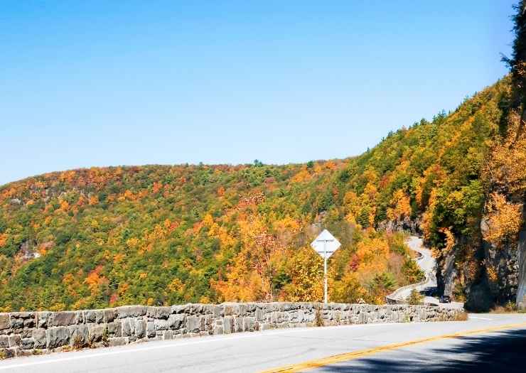 Jacinto Reyes Scenic Byway -scenic drives california