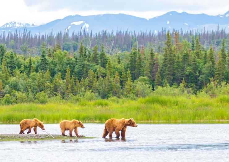 Supporting Alaska Tourism & Giveaway