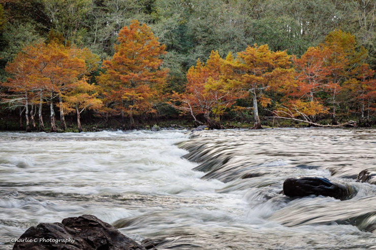 Charles Chapman Presbyterian falls