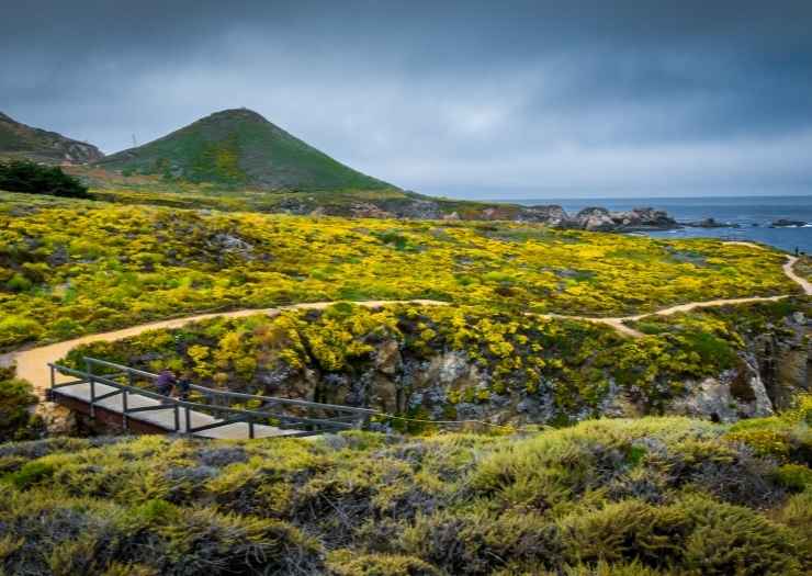 Garrapata State Park -Big Sur Road Trip