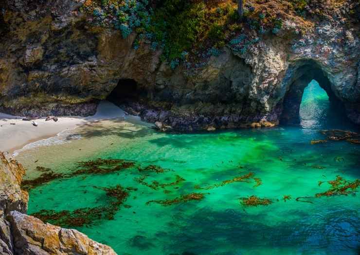 Point Lobos State Park -Big Sur Road Trip