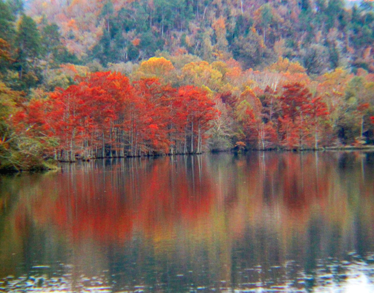 Beavers Bend Tina Sampson