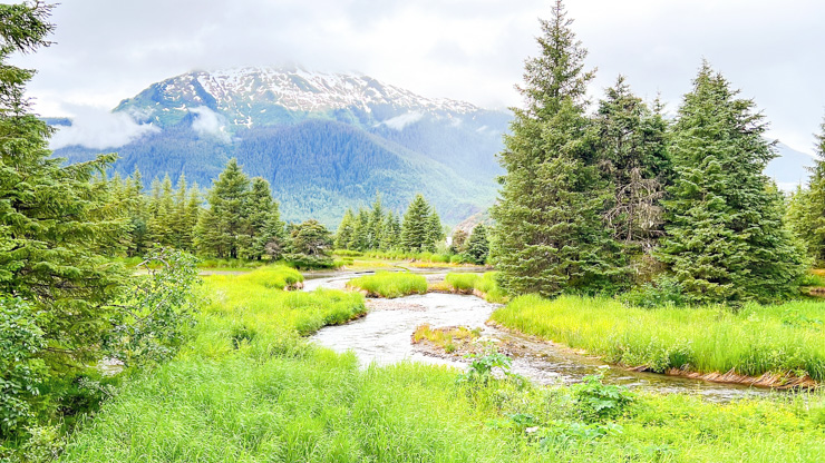 Juneau Alaska Cruise Port : Your Complete Guide