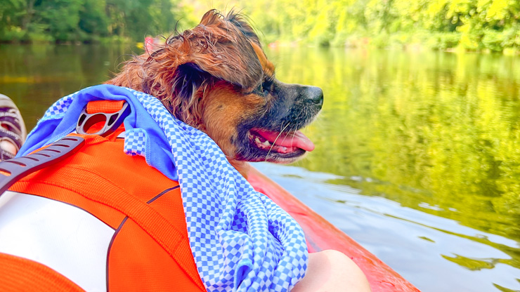 beavers Bend Floats  Things to Do in Hochatown OK