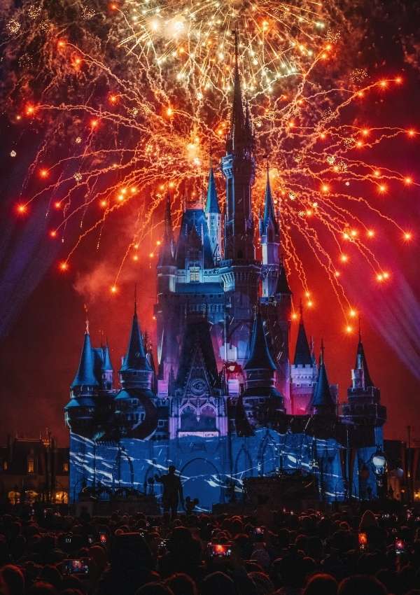 Disneyland Castle At Night Halloween