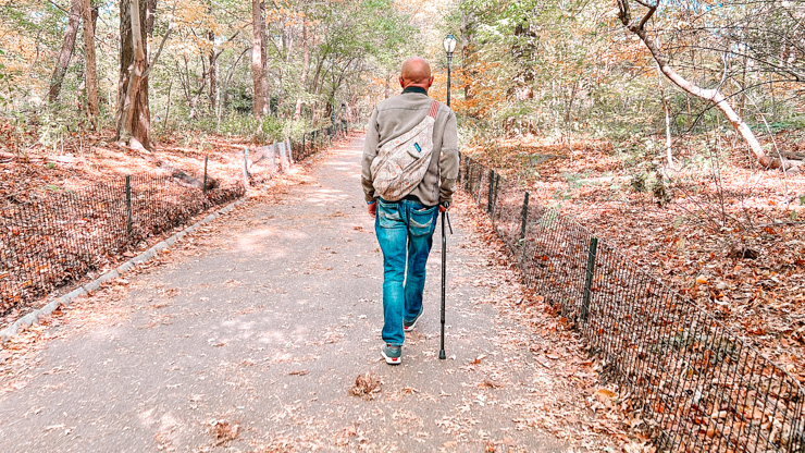 Traveling disabled central park