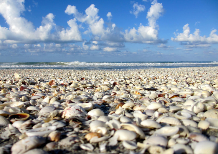 Sanibel Island Shelling Beaches