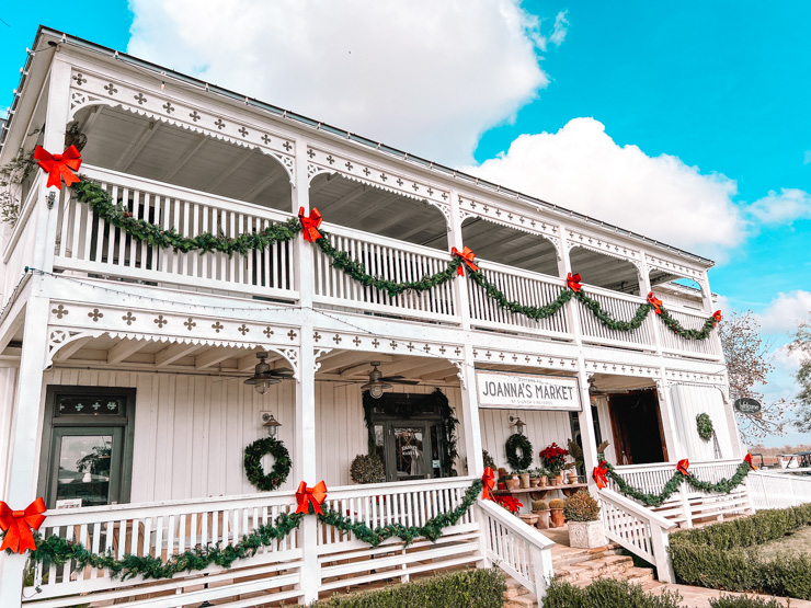 Signor Vineyards - Things to Do in Fredericksburg Texas