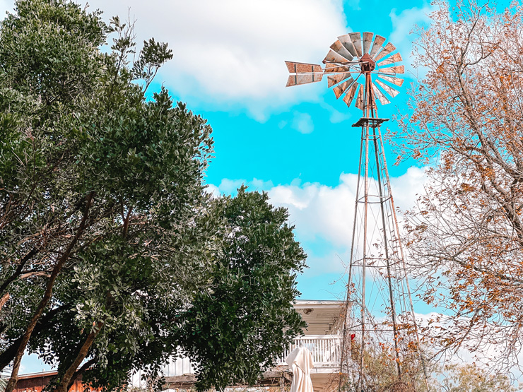 Signor Vineyards - - Things to Do in Fredericksburg Texas