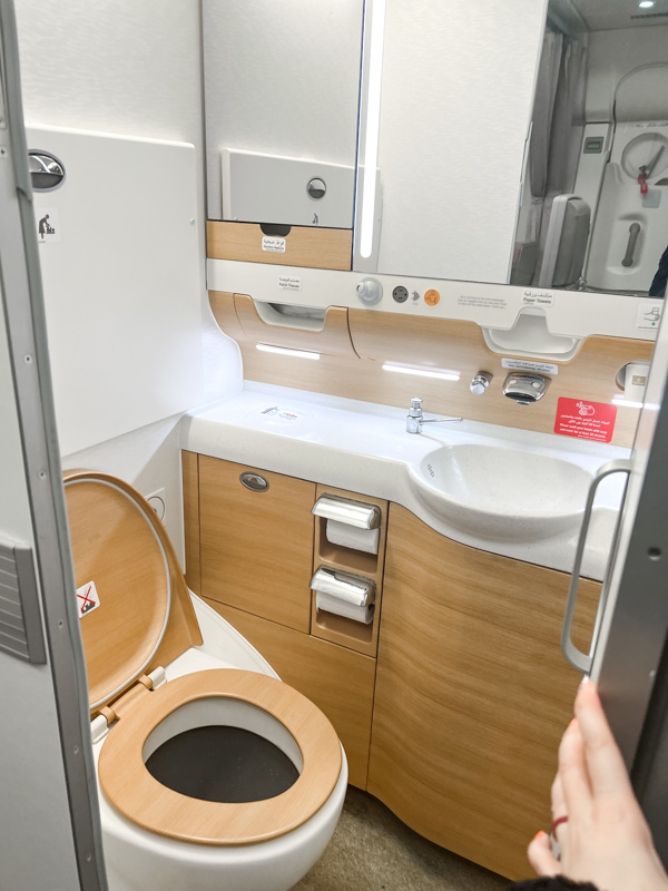 Emirates Airlines Economy Class Bathroom