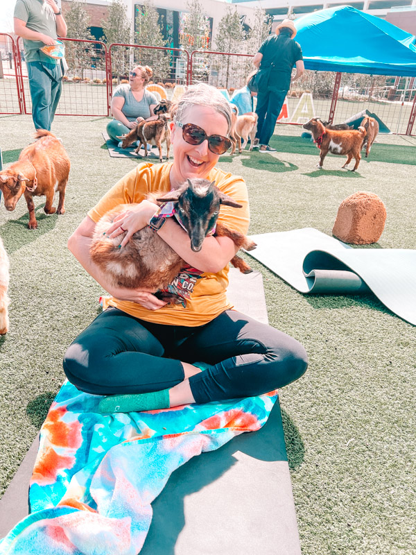 Goat Yoga - Things to Do In Irving Texas