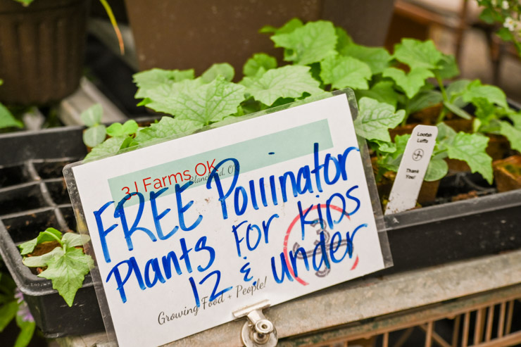 free pollinator plants