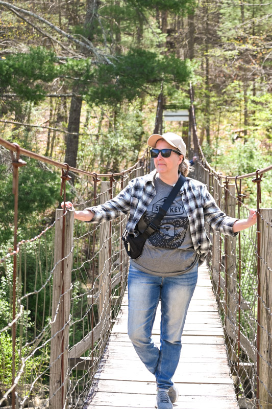 Goshens pass bridge - Things to do in Lexington Va