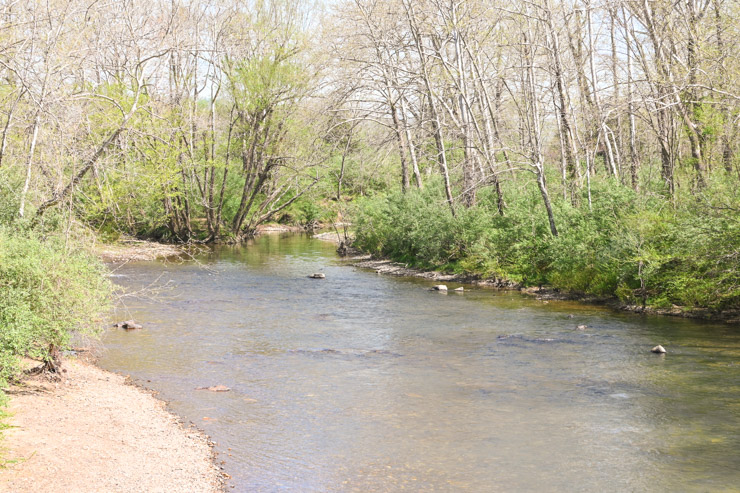 Goshens pass creek - Things to do in Lexington Va