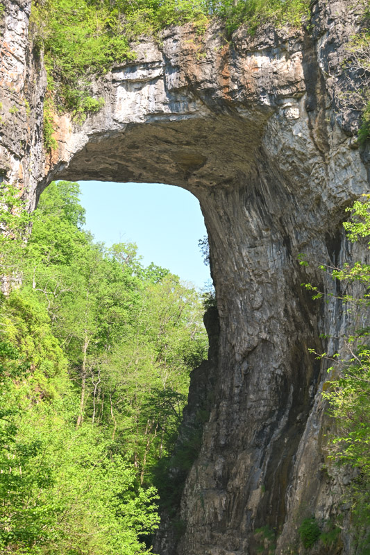 Natural Bridge State Park - Things to do in Lexington Va