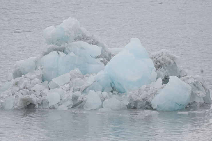 Holland America Westerdam Glacier Bay-5 - Westerdam Cruise Reviews