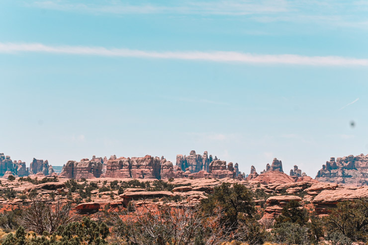 Chesler Park Loop needles