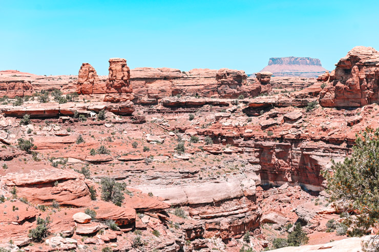 Hiking In Utah’s Canyonlands: Needles District Adventure!