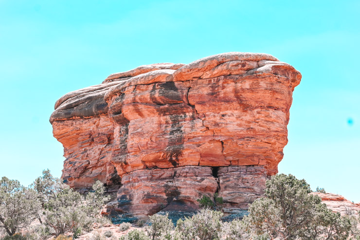 Needles Canyonlands-2