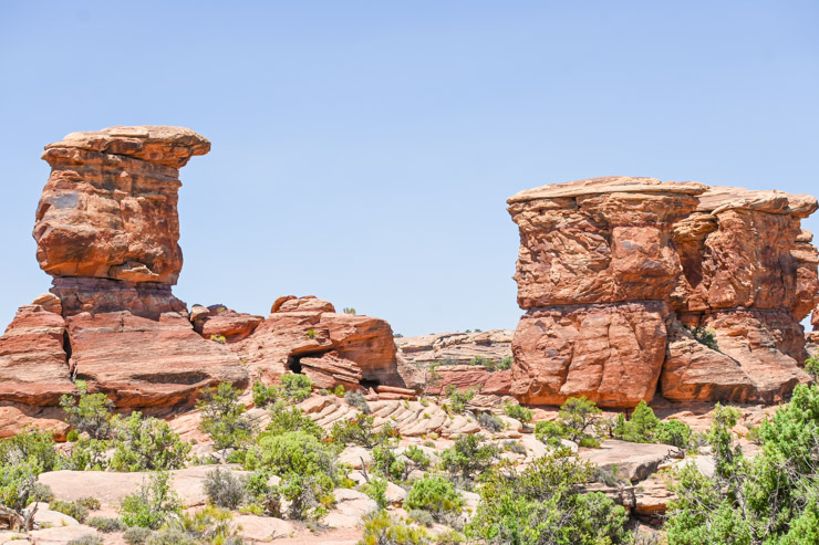 Needles Canyonlands