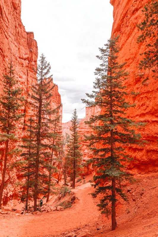 Bryce Canyon